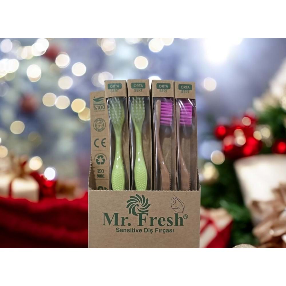 DİŞ FIRÇASI 12 Lİ MR FRESH