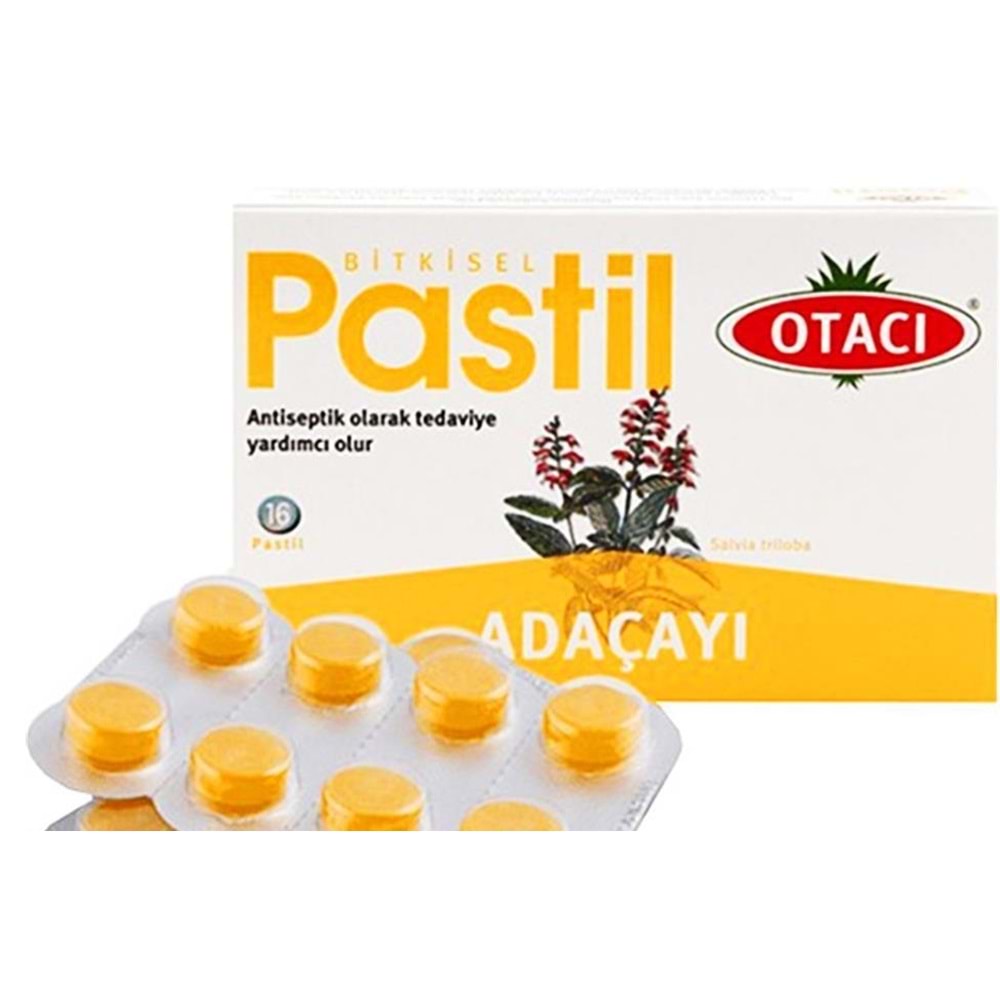 OTACI PASTIL ADACAYI