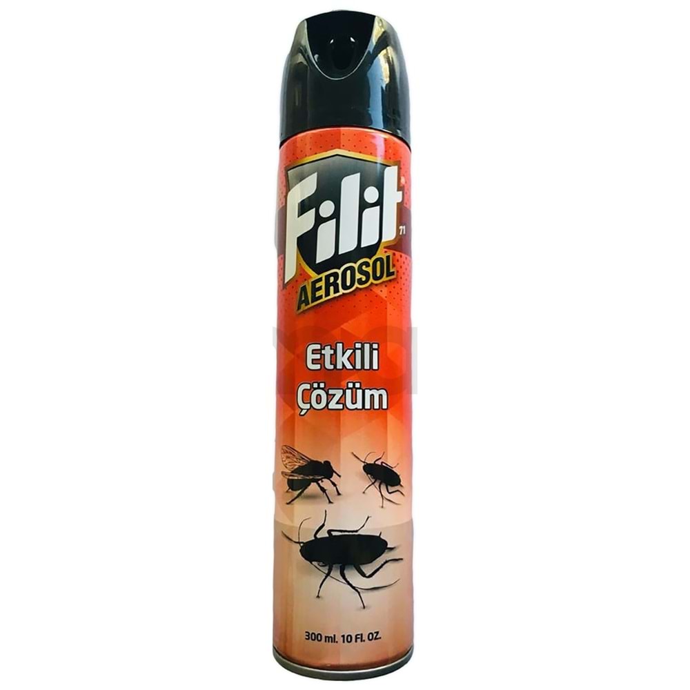 FİLİT SÜPER AEROSOL 300 ML ( KARASİNEK & HAMABÖCEGİ )