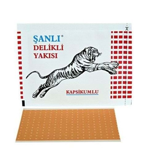 YAKI ŞANLI ( DELİKLİ & KAPSİKUMLU