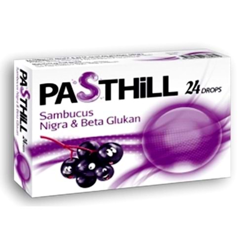 PASTHİLL KARAMÜRVER 24 LÜ PASTİL