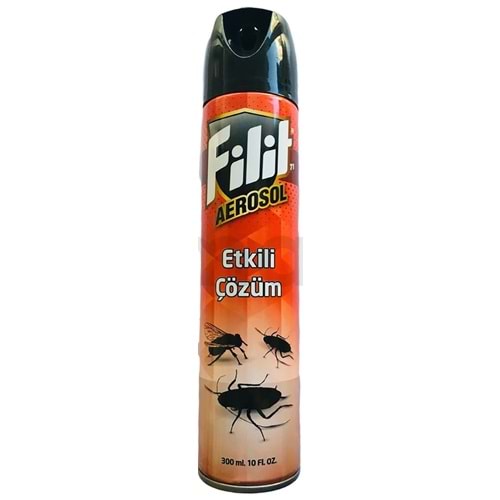 FİLİT SÜPER AEROSOL 300 ML ( KARASİNEK & HAMABÖCEGİ )